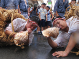 The Mizudome-no-mai : Old rain-stopping dance in a straw basket, rolling on the ground, blowing a trumpet-shell.
