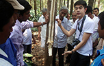 Asia Plantation Capital and partners inspecting the inoculated trees in India