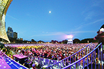 The popular free concert series Summer Sounds in The Domain. Photo credit Prudence Upton. Sydney Festival populates the Domain with over 60,000 attendees for its famous free concerts, bringing the city together in a cultural and communal celebration.