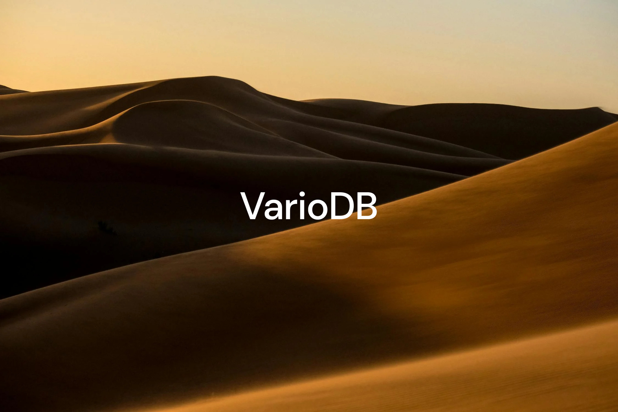 VarioDB: AI Dictionary and Applications in Marketing